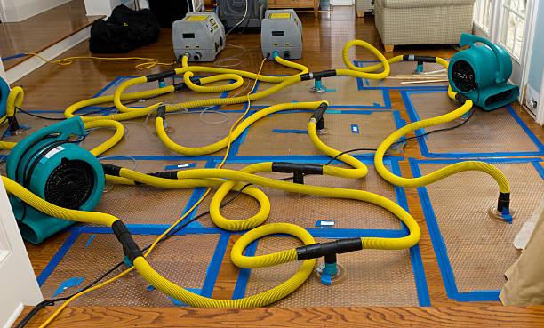 Professional Sewage Cleanup technician working in Ookala, HI